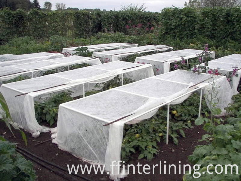 Plant Cover Non-Woven Fabric for Crop Production/PP Spunbond Agriculture Cover Fruit Bag